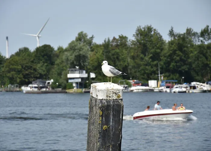 De Meeuw Village de vacances